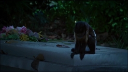 Bad Monkey - Season 01 Episode 03